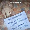 Diduga Kerap Kritik Pemerintah, Rumah Aktivis Greenpeace Diteror Bangkai Ayam