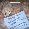 Aktivis Greenpeace Diteror dengan Bangkai Ayam, Pakar Hukum: Melanggar HAM