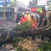 Lima Kecamatan di Lumajang Diterjang Hujan dan Angin Kencang