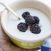 Yoghurt Membantu Pria Menghindari Kanker Usus